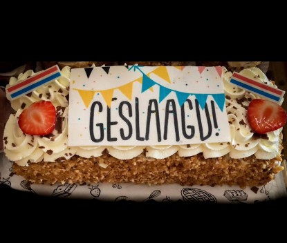 Geslaagd Schnitt